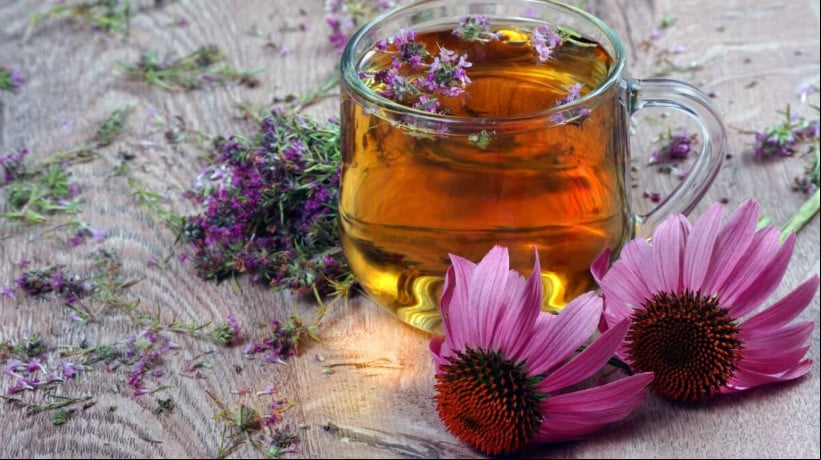 Chá de echinacea com gengibre e limão (Imagem: KRIACHKO OLEKSII | Shutterstock) 